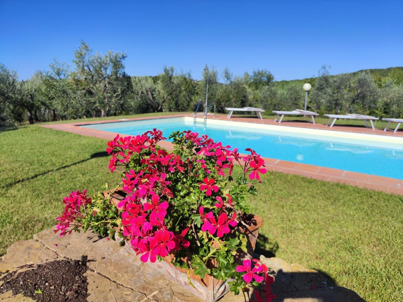 Agriturismo Sommassa Greve in Chianti Exterior photo